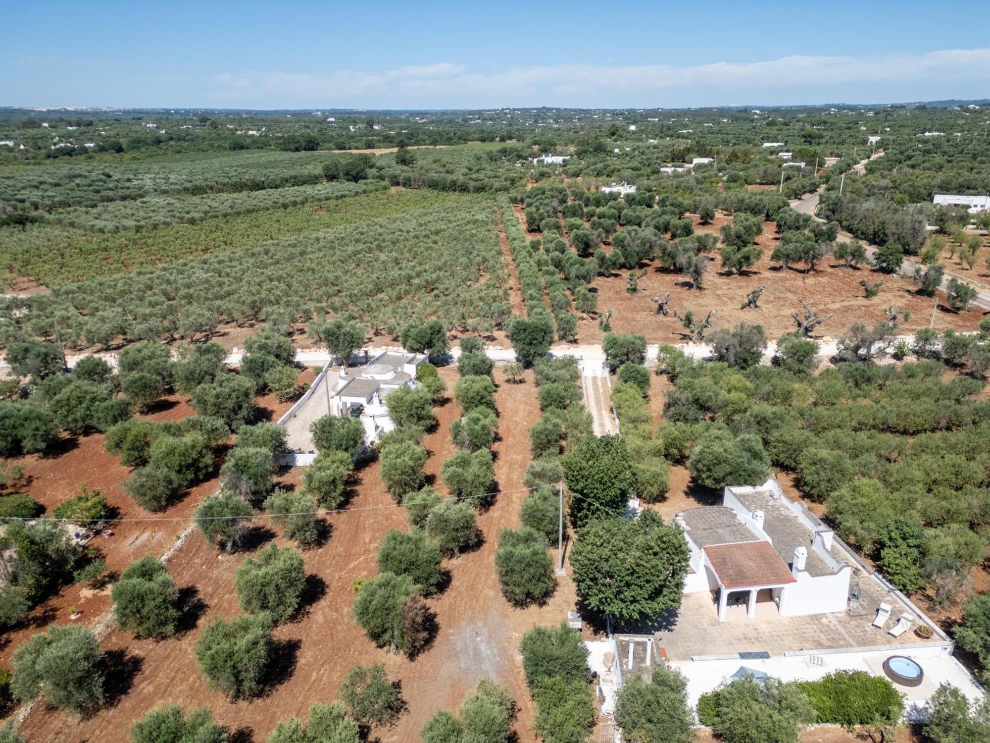Trullo La Quercia * Ostuni